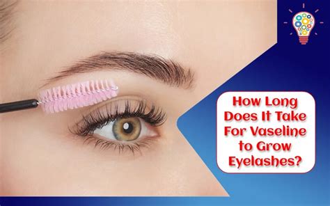 How Long Does It Take For Vaseline To Grow Eyelashes Updated Ideas