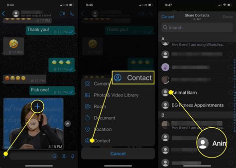 How To Share A Contact On WhatsApp