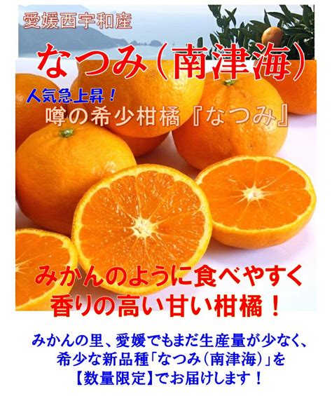 【楽天市場】愛媛の段々畑みかん なつみ（南津海）：キープビギン 里の贈りもの