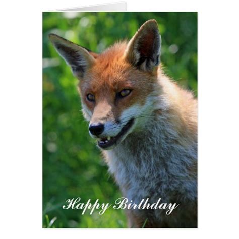 Fox Red Beautiful Happy Birthday Greetings Card Zazzle