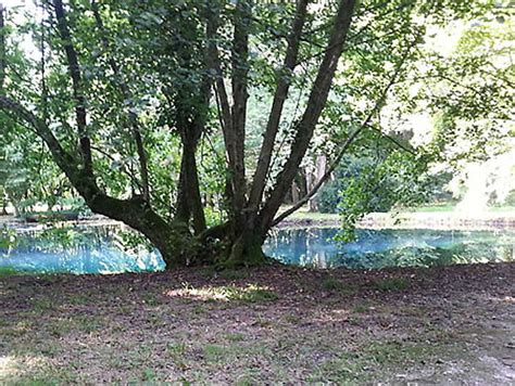 Fontaine bleu Château de Beaulon Saint Dizant du Gua Charente