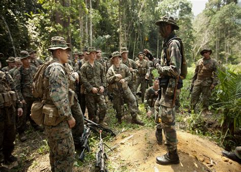 Dvids Images A Jungle Classroom Hawaii Based Marines Train With