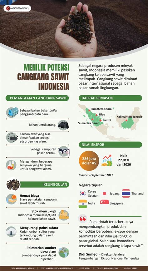 Menilik Potensi Cangkang Sawit Indonesia Infografik Antara News