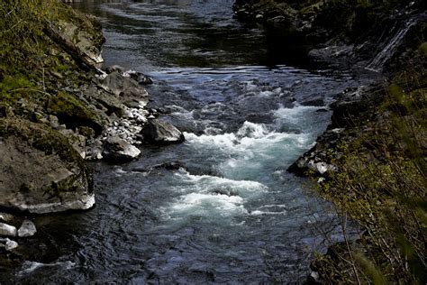 Dark River Background Free Stock Photo Public Domain Pictures