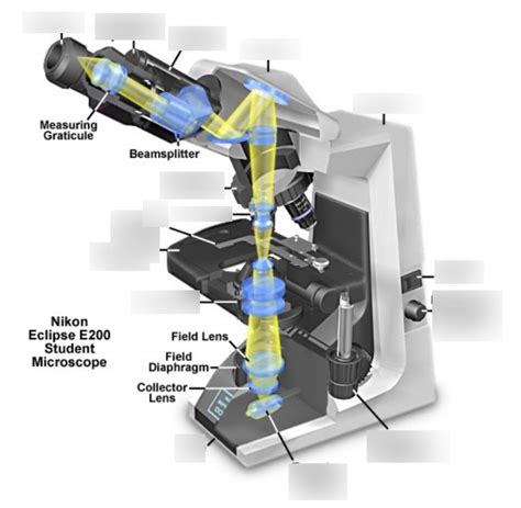 Anatomy Of A Bright Field Microscope Diagram Quizlet