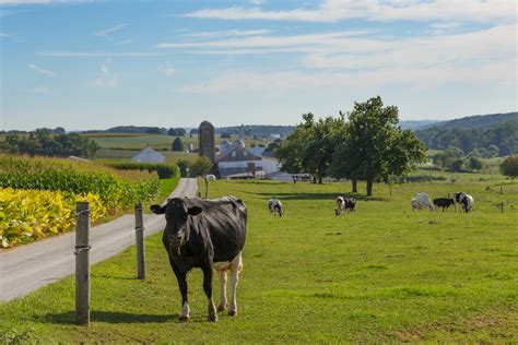 📅 The Best Time To Visit Amish Country Pa In 2023