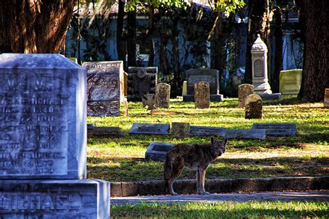 Greenwood Cemetery on Behance