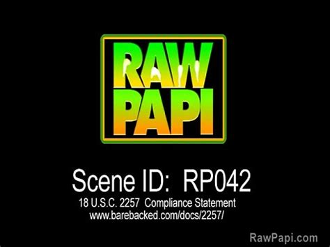 Bareback Sex On Party Of Latinos XVIDEOS