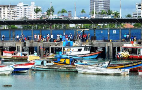 March Aux Fruits De Mer Panama Horaires Et Lieu