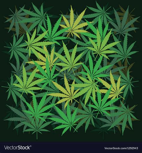 Cannabis leaves Royalty Free Vector Image - VectorStock