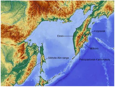 Forests Free Full Text Boreal Forests Of Kamchatka Structure And