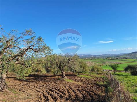 Terreno Agricolo Contrada Casale Noto Rif 109038547 Immobiliare It