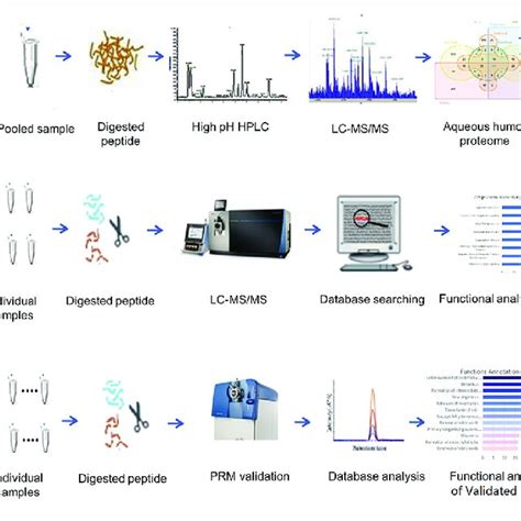 Comparison Of The Ah And Body Fluid Proteome A The Pathway