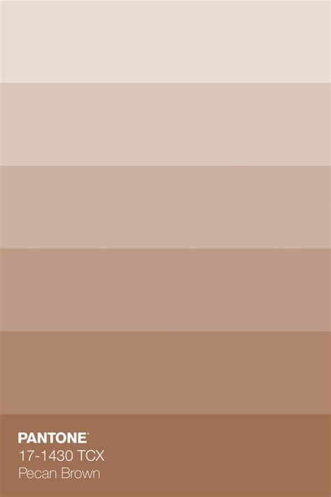 PANTONE 17 1430 TCX Pecan Brown Color Tint Indulge In The Nostalgic