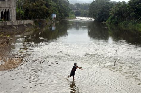 Debit Air Di Bendung Katulampa Bogor Menyusut Antara Foto