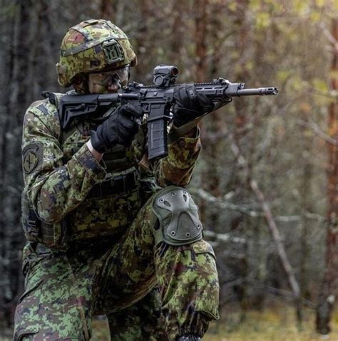 Estonian defense forces : r/camouflage