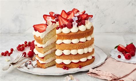 Naked Cake So Einfach Selber Machen Dr Oetker