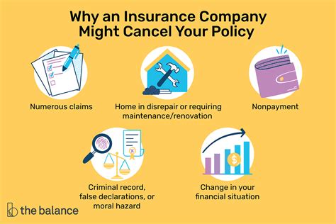 Pioneer Insurance Withdrawal Your Easy Guide To Know What You Can Do With Your Policy