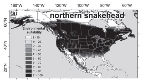 Virginia Tech Ichthyology Class Northern Snakehead Expanding Range