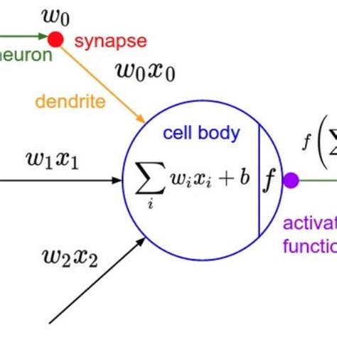 Pdf A Comprehensive Guide To Bayesian Convolutional Neural Network