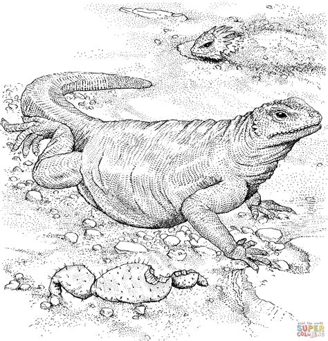 Komodo Dragon Coloring Page | BubaKids.com