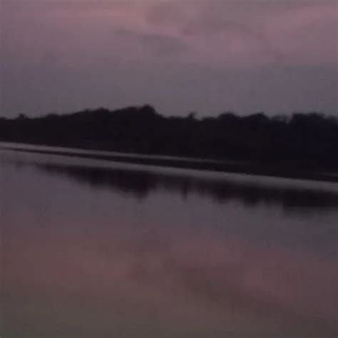 Muscled Women Fuck Guy XHamster