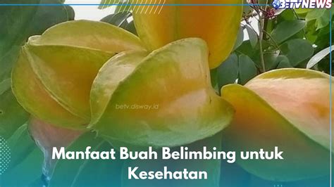 Ternyata Ini Manfaat Buah Belimbing Untuk Kesehatan Mampu