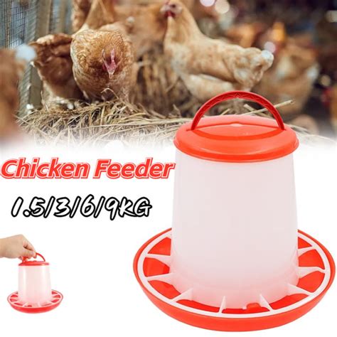 Chicken Feeder Kg Quality Chicken Automatic Feeder Quail