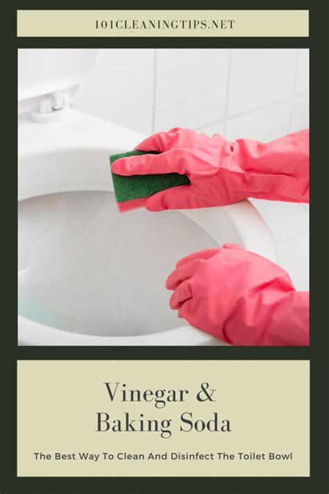 Vinegar And Baking Soda The Best Way To Clean And Disinfect The