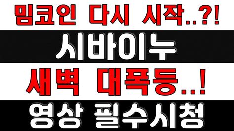 시바이누 긴급 정확도 100 전망분석 플로키가 1등 밈코인 다시 시작되나 코인시황 Youtube