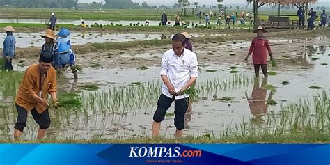 Jokowi Dorong Petani Gunakan Pupuk Organik Kurangi Ketergantungan