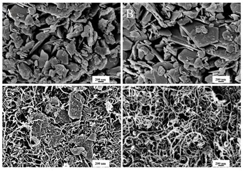 Bioengineering Free Full Text Green Production And Interaction Of