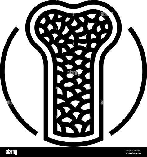 Porous Bone Osteoporosis Line Icon Vector Illustration Stock Vector