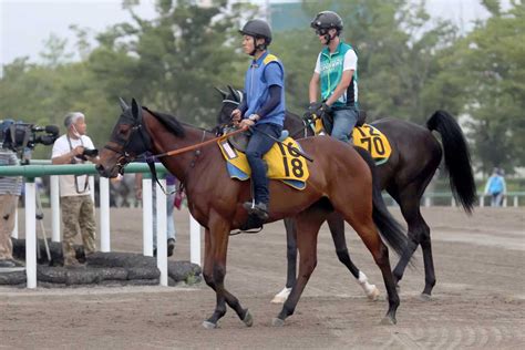 【七夕賞】前走好走のホウオウエミーズは時計のかかる馬場を願う｜競馬ニュース｜競馬予想のウマニティ