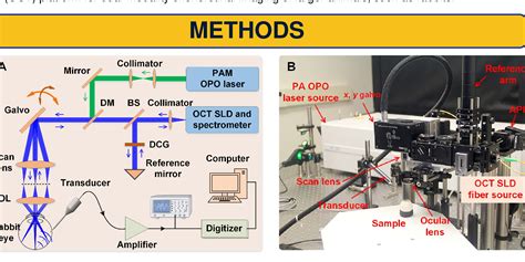 Figure 1 From Integrated Photoacoustic Microscopy And Optical Coherence