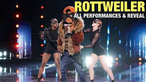 The Masked Singer Rottweiler All Clues Performances Reveal Youtube