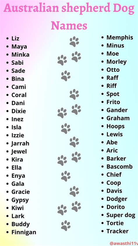 Australian Shepherd Dog Names Pets Names