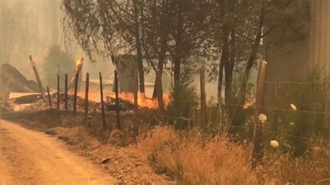 Asciende A 13 El Número De Muertos En Virulentos Incendios De Chile Soy Nueva Prensa Digital