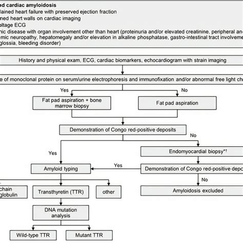 Diagnostic Algorithm For Suspected Cardiac Amyloidosis Adopted From