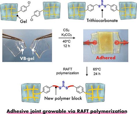 通过可逆加成 断裂链转移 Raft 聚合可生长的粘合剂凝胶系统 Acs Applied Polymer Materials X Mol