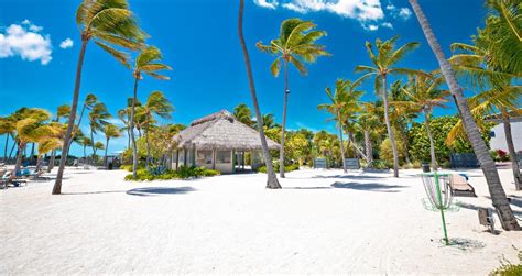 Best Beaches in Islamorada