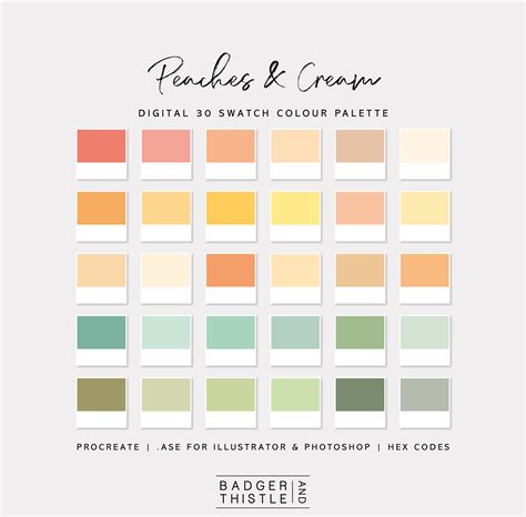 Peaches And Cream Digital Colour Palette Swatches Download Procreate