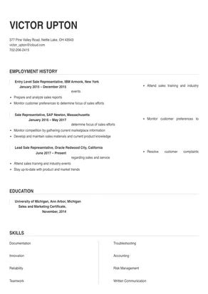 Sale Representative Resume Sample Tips Online Resume Builder