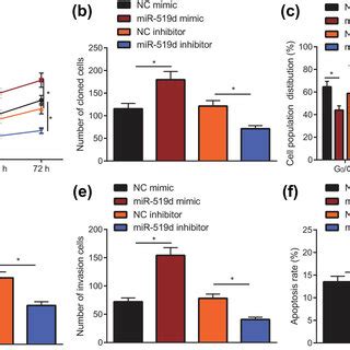 Mir D Overexpression Promotes The Progression Of Htr Svneo Cells