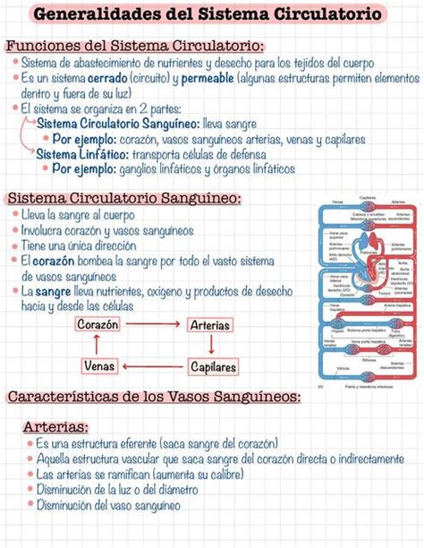 Generalidades Del Sistema Circulatorio Udocz