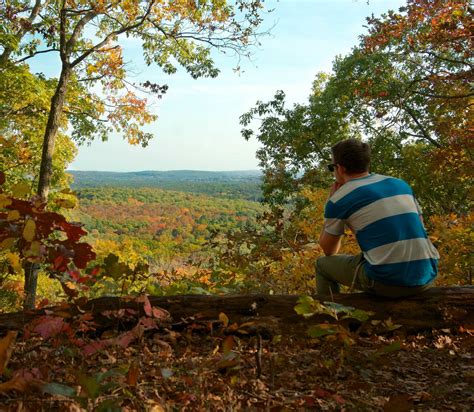 The coney I secret that tourists often overlook 11