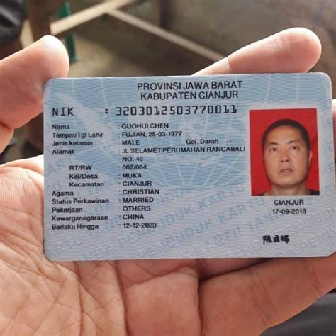 brucepodindonesian id data extraction  main