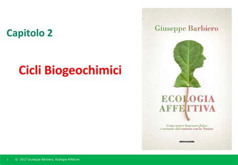 Slide Riassuntive Ecologia Affettiva Capitolo Cicli