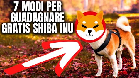 Modi Per Guadagnare Gratis Shiba Inu Interessi Passivi Crypto Youtube