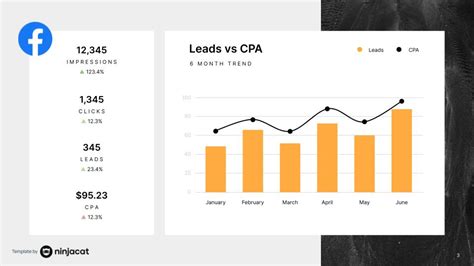 Facebook Ads Report Template | Facebook Ads Reporting Tool